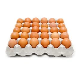 Carton de Huevo